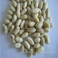 Blanched Peanut Kernels, Peeled Peanut Long Type